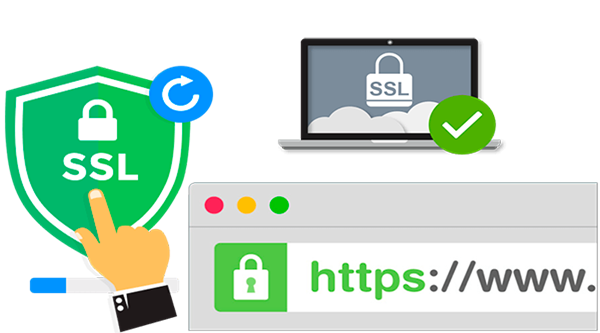 Certificado SSL